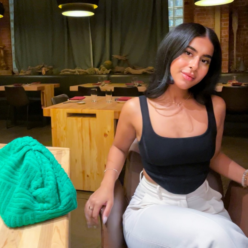 Aritzia Babaton cropped top